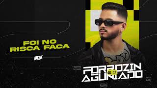 FOI NO RISCA FACA  DJ MELK feat PEPE MORENO  CD FORROZIN ANGUNIADO 20 áudio oficial [upl. by Angelique872]