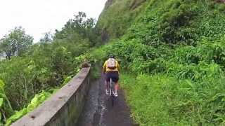 Biking the Old Pali Road [upl. by Adnilim]