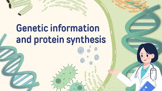 Genetic Information and Protein Synthesis [upl. by Culosio]