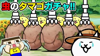 にゃんこ大戦争なつやすみ！虫のタマゴ確定ガチャ50連！！【ぐち男のゲーム実況】 [upl. by Markus]