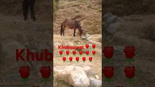 Khoobsurat 💝 music bollywood song newsong [upl. by Fontana]