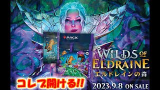 【生配信】エルドレインの森 コレクターブースター開封【MTG】 [upl. by Mashe]