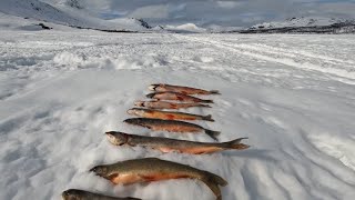 Rödingfiske och arkliv  Arctic char fishing and tent living  Raudun pilkintä [upl. by Katy]