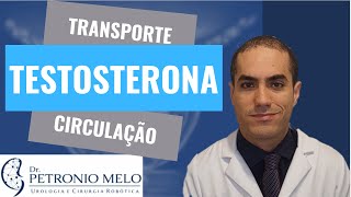 Testosterona Circulação e Transporte  Importância da SHBG  Dr Petronio Melo [upl. by Pelligrini777]