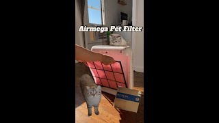 The one Airmega air filter solved all my pet problems [upl. by Aubine]