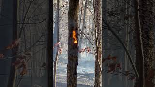 Bellefonte House Fire [upl. by Ijan]