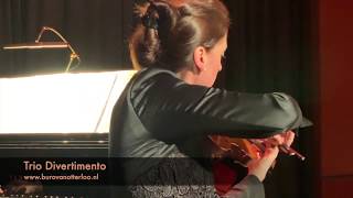 Klassiek dames trio Divertimento  concert salon orkest [upl. by Etireugram]