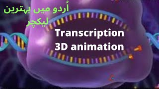 Transcription3D animation [upl. by Hum]