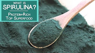 What is Spirulina A Proteinrich Top Superfood Algae [upl. by Enirok229]