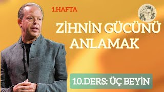 1Hftd10Drs Üç Beyin varoluş algı neokorteks deneyim öğrenme bilgi limbiksistem beyin [upl. by Bensen384]