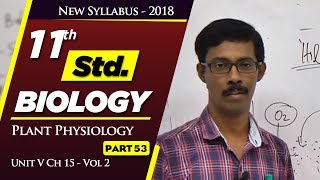 TN 11th Std Biology  Plant Physiology  New Syllabus  2018  Unit V Ch 15  Part 53  VOL 2 [upl. by Aural]