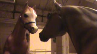 Love at First Sight  Part 3 Breyer horse movie [upl. by Halehs]