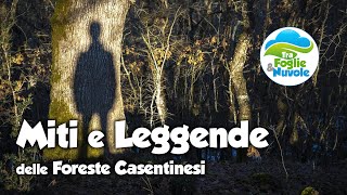 Miti e Leggende delle Foreste Casentinesi [upl. by Tooley]