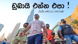 DONT COME DUBAI ON VISIT VISA TO FIND A JOB  TRIP PISSO visitdubai [upl. by Gawain]