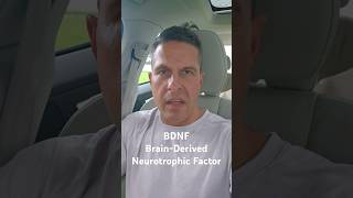 The MindBlowing Power of BDNF Factors influencing BDNF production bdnf neuroplasticity [upl. by Vincelette639]