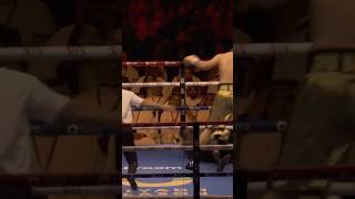 Deontay Wilder gets Knocked out 👀🔥 [upl. by Lurline913]