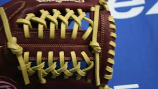 Product Overview  Rawlings Sandlot Series Glove [upl. by Robinette]