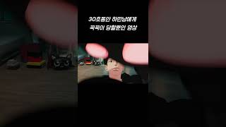 그냥 30초동안 하민이한테 꾹꾹이 당하는 영상🐈‍⬛🖤 플레이브 PLAVE 하민 HAMIN 하민냥이 꾹꾹이 하민생일 [upl. by Anerres]