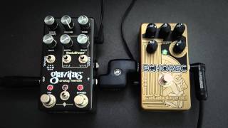 Chase Bliss Gravitas Tremolo  Catalinbread Echorec [upl. by Cherian526]