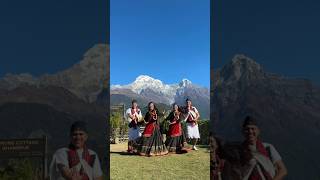 Kasmire Pachhyauri  Babu Krishna Pariyar shorts short viralvideo nepalimusic shortvideo [upl. by Schurman180]