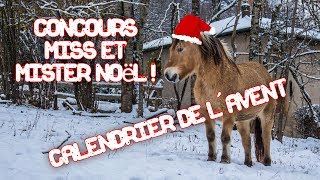 Concours Miss et Mister Noël Calendrier de lAvent 🎅🎄 [upl. by Erickson258]