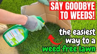 How to kill WEEDS in your LAWN the simple way [upl. by Anircam]