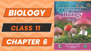 Biology 11 Chapter 6 Prokaryotes Topic 7 New Book NBF 2024 Complete Explanation FBISE [upl. by Fanni]