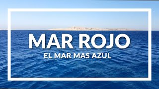 Mar Rojo el mar más azul  programa Contacto [upl. by Fausta]