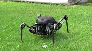 TITANXIII  Sprawlingtype Quadruped Robot [upl. by Anis]