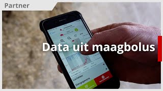 Hoe helpt data uit een bolus in maag koe [upl. by Blancha]