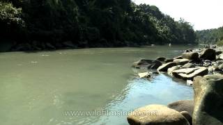 Doyang River True essence of Nagaland [upl. by Philo]