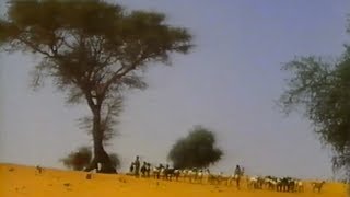 An African Recovery Drought in the Sahel Documentary 1988 VHS [upl. by Annawd]