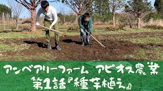 【農業 第1話】下北名産アピオスの種芋を植えていく！ ［家庭菜園 農家 青森県 FARM］ [upl. by Hanikahs]