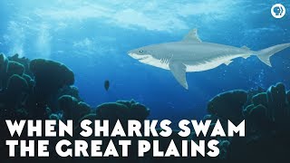 When Sharks Swam the Great Plains [upl. by Pliner]