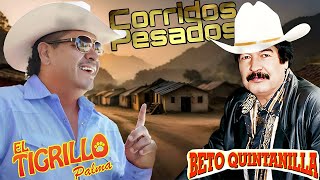 Beto Quintanilla y El Tigrillo Palma  20 Exitos   Corridos Pesados Mix [upl. by Aiki]