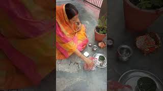 Tulsi ki patti kahan se Laun Re Shyam Tulsi per Machhalibhajan [upl. by Nylssej]