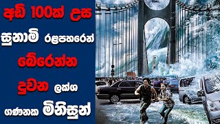 quotTidal Wavequot සිංහල Movie Review  Ending Explained Sinhala  Sinhala Movie Review [upl. by Shevlo]