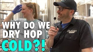 Adam Makes Beer Pro Brewer Explains How He Avoids Hop Creep [upl. by Jesher]