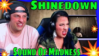 Shinedown  Sound Of Madness Official Video THE WOLF HUNTERZ REACTIONS [upl. by Eittik]