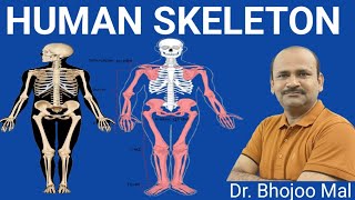 Human Skeleton  Axial Skeleton by Dr Bhojoo Mal [upl. by Zebaj762]