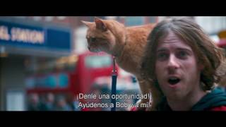 Un Gato Callejero Llamado Bob  Trailer [upl. by Walter976]