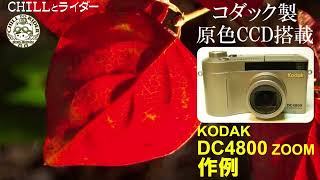 【オールドコンデジ】【コダックブルー】KODAK DC4800 zoomの作例です。コダックの代表機種で原色CCDの色のご参考に。 [upl. by Kamin]