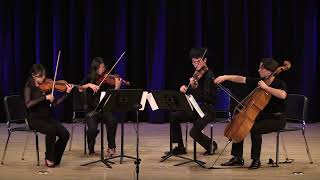 Schubert Quartettsatz cMoll Quartet Movement in C minor D 703 I [upl. by Carmel]