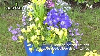 Planter des bulbes dété à fleurs en pot  Truffaut [upl. by Clovah452]