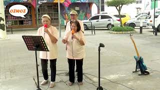 PEARLY SHELL by 4MEMBERS LARRY BUSKERS at DONGGONGON 30 SEPT 2024 [upl. by Rosy]