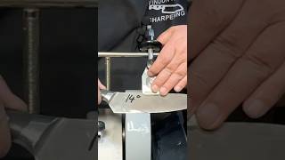 Tormek Knife Sharpening  14° asmr [upl. by Darleen]