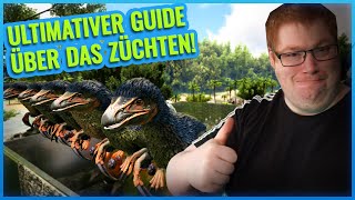 So FUNKTIONIERT das ZÜCHTEN in ARK  Zucht Guide Ark [upl. by Yellas]