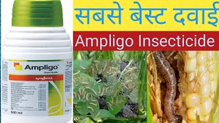 ampligo insecticide। syngenta ampligo। ampligo।insecticide [upl. by Acirrej179]