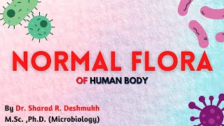 NORMAL FLORA I PART1 I MICROBIOLOGY [upl. by Thorncombe377]