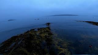 Sea Duck Hunting Maine Mixed Bag [upl. by Rafat]